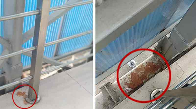 Mamata's anti-spitting drive 