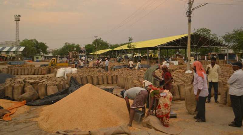 Mill owners refuses to purchase paddy