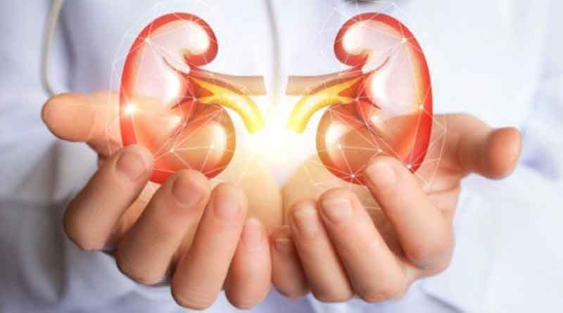 How to prevent and cure kidney stone | Sangbad Pratidin