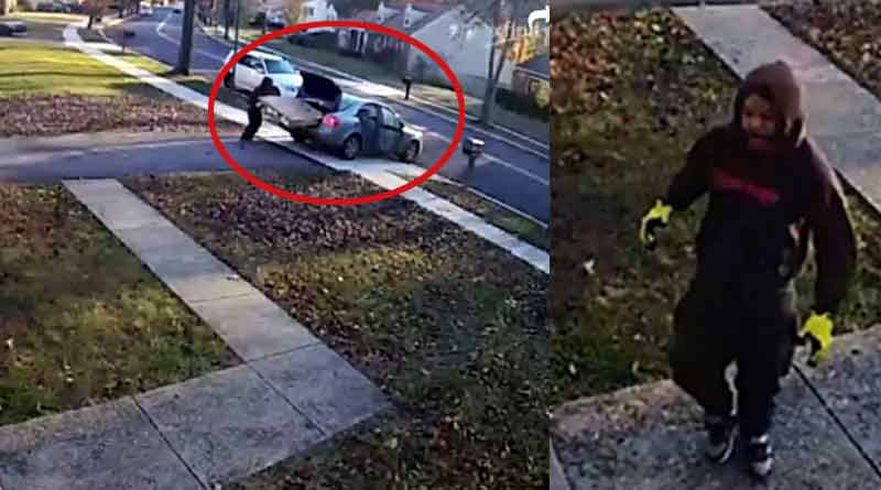 Watch thief stealing TV