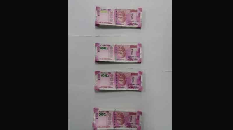 STF arrested three person 