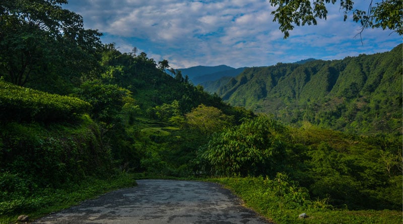 Kumai travel tips.