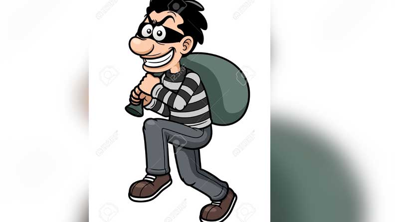 Thief caught red handed in Basirhat