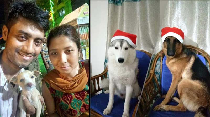 Dog Owner beaten in City
