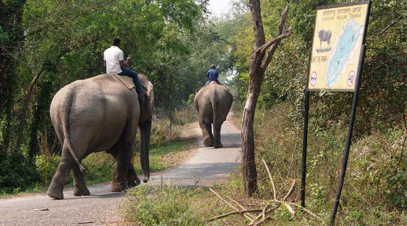 Asian Rural Tourism Festival turns 5