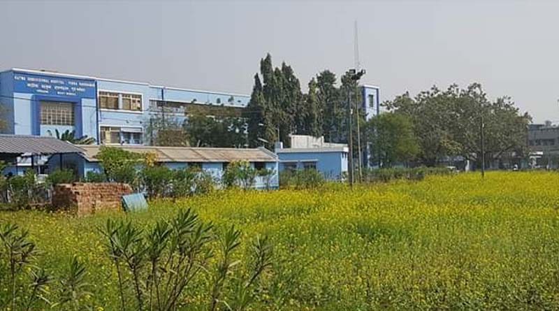 Mustard cultivation in Katwa