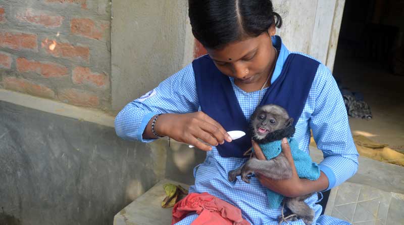 Teen girl feeds Monkey cub