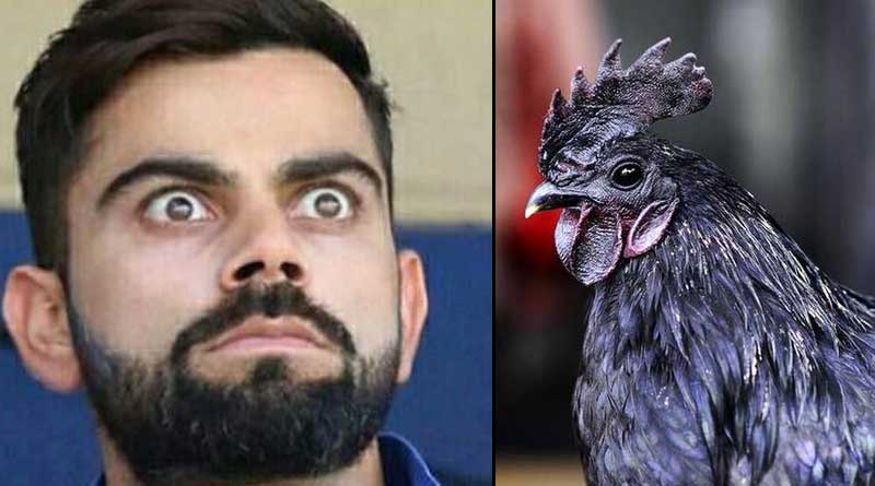 'Kadaknath Chicken good for Virat'