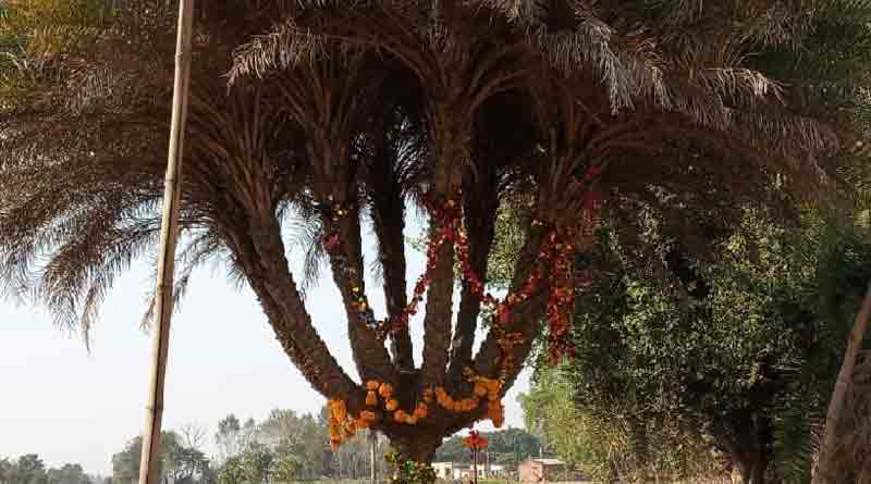 Exceptional date tree with 11 heads 