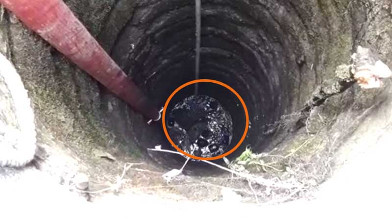 Dog rescued by locals in Alipurduar