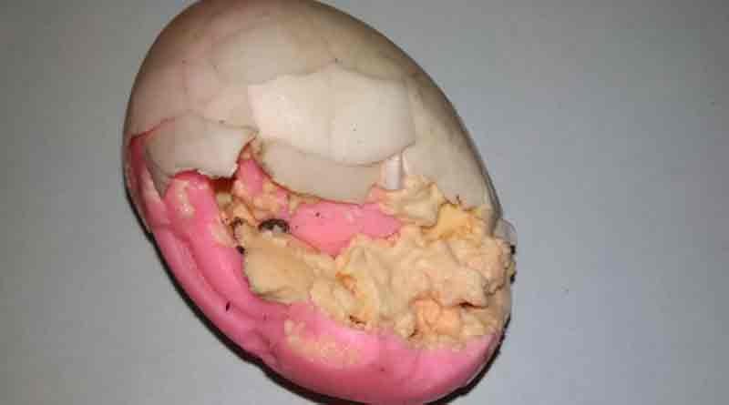 Pink egg sparks frenzy in Katwa
