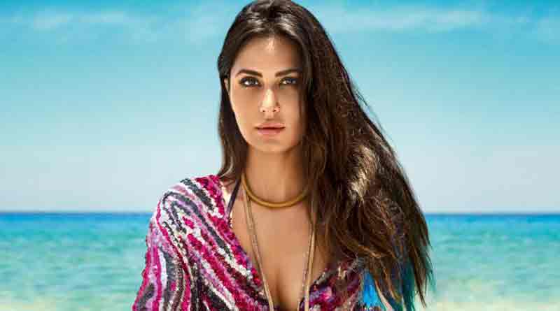 'Bharat' movie shoot postponed