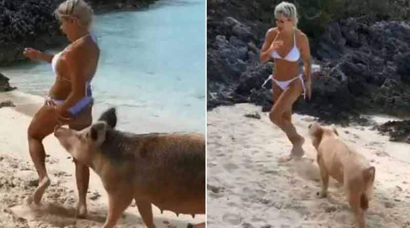 Watch: hot model's Photo shoot goes wrong 