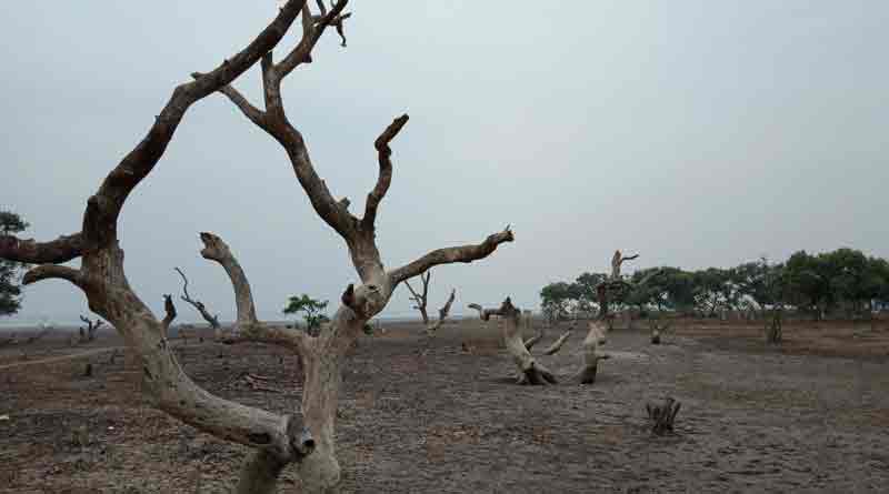 New travel destination Bichitrapur