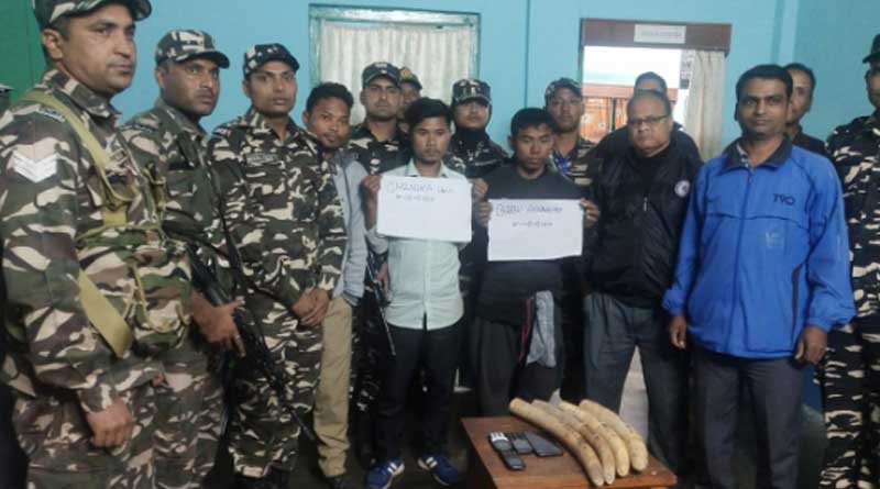 four held with ivory in hasimara