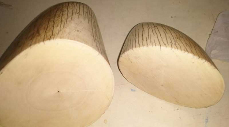 Huge haul of ivory has been seized by DRI 