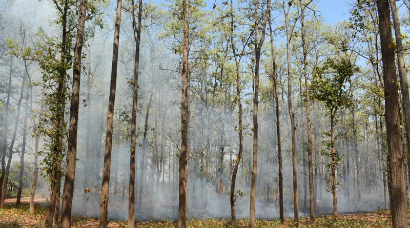 Locals protest wild fire in Jhargram