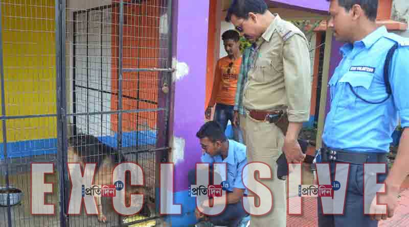TMC councilor in jail, cops care dog 