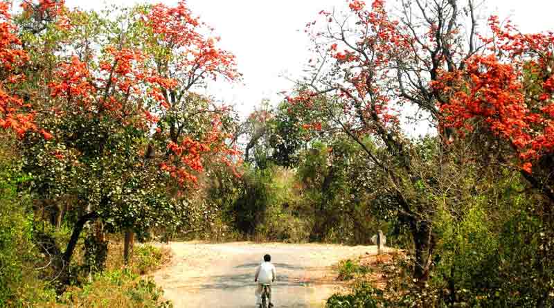 Visit Purulia on Holi