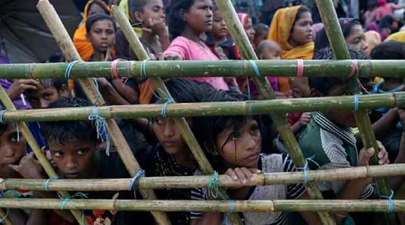 Madrasa teachers get bail accused for beating a Rohinga woman