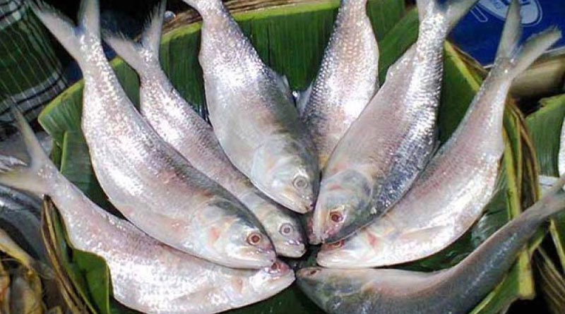Price hike of Hilsha in Bangladesh ahead of Poila Baisakh