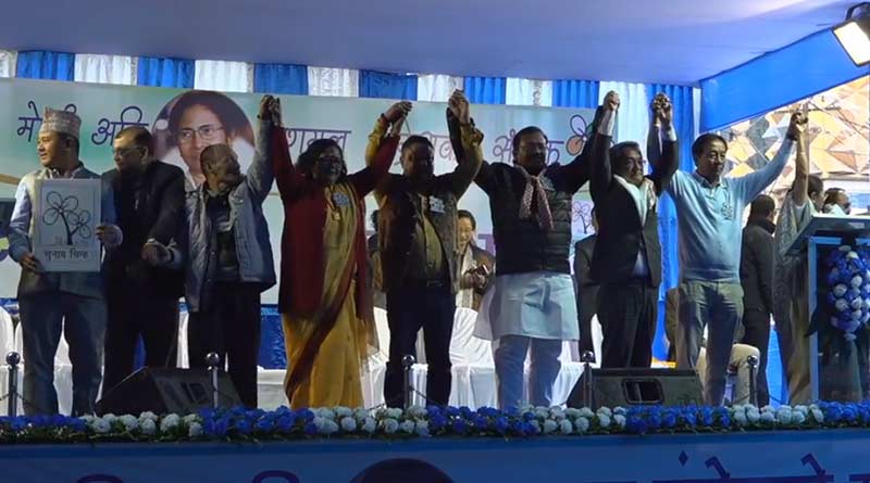 Mamata Banerjee attackes BJP leader Amit Shah in an election campaign