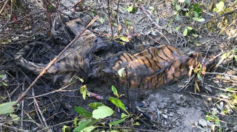 Forest officials allegedly attacked by villegers in Kultali