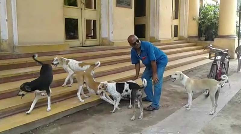 Dog brutalized in Burdwan, animal lovers stage protest