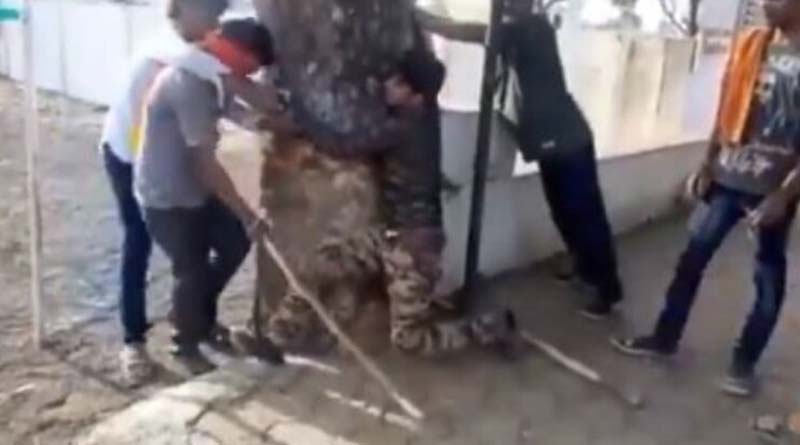 3 Muslims thrashed by gau rakshaks, made to shout Jai Shree Ram