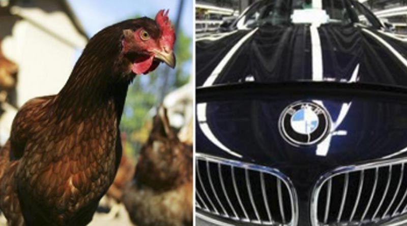 Chinese Man Arrested for Stealing Chickens to Put Gas in BMW