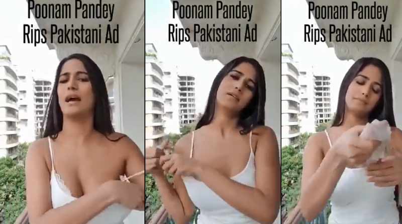 Poonam Pandey's answer to the Pakistani AD is viral in social media