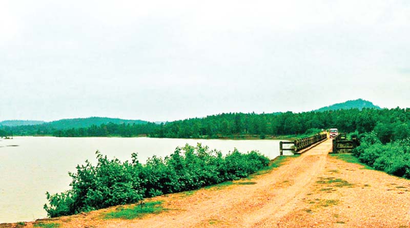 Fed up of mundane life, embrace nature at Dulung