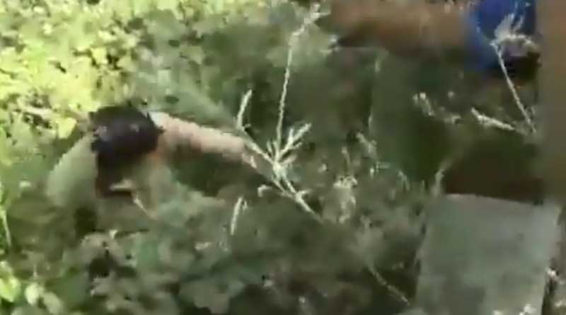 The situaton worsnes as a boy died run over by the truck in Nabadwip