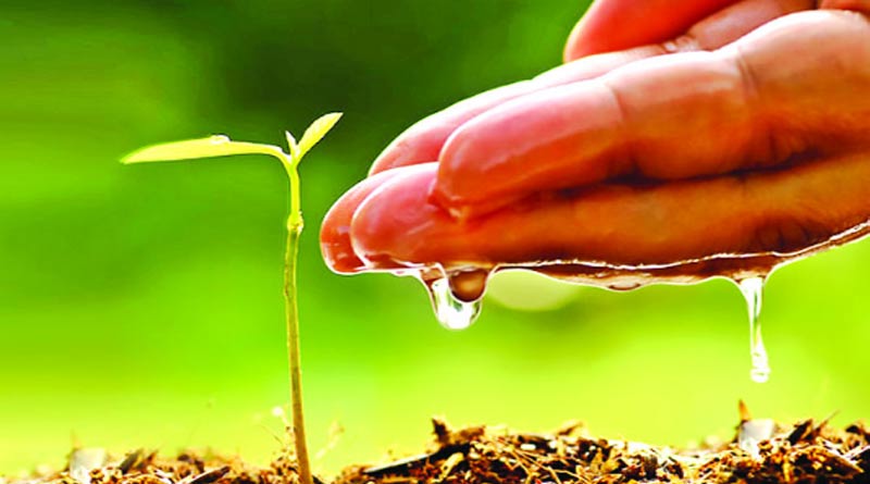 Saltor GP take initiatiave to save the earth and environment