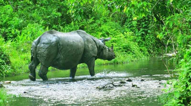 Incessant rain sparks flood like situation in North Bengal