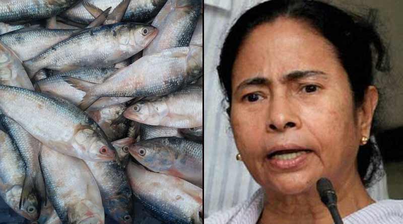 Don't need Hilsa from Bangladesh, says Mamata Banerjee