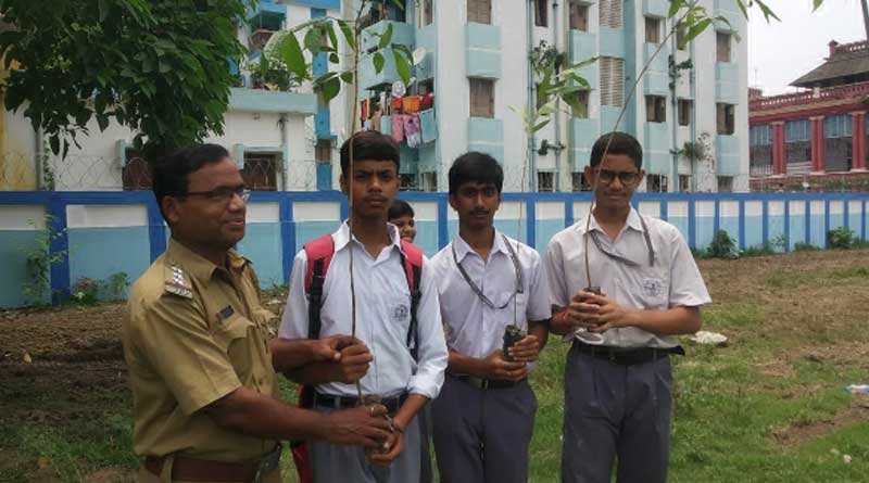 Forest department decides to distributes sapling door to door