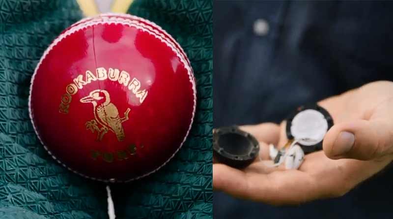 cricket ball may soon get Microchip in Big Bash League