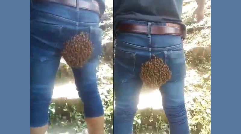 Nagaland: This beehive on man's back has left netizens in splits