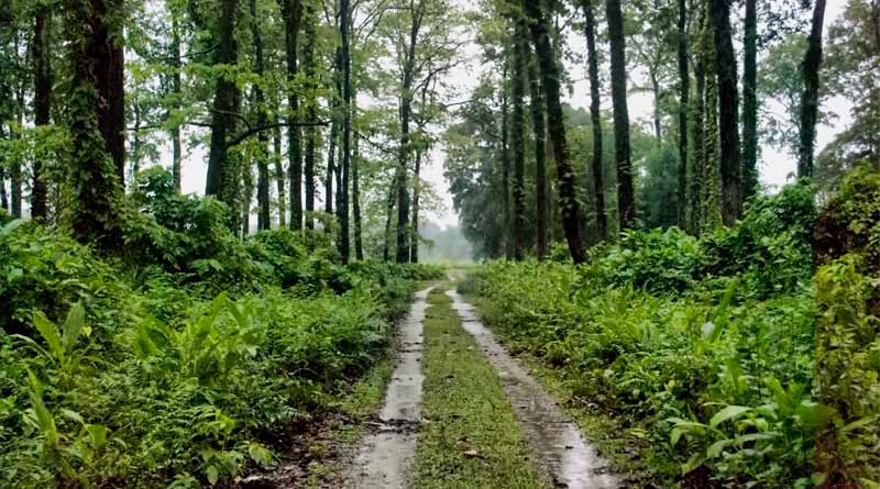 Tourisam department of Bengal launch route maps