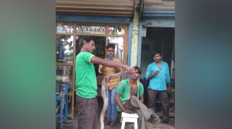 Snake bites a man in Purba Bardhaman's Bhatar area
