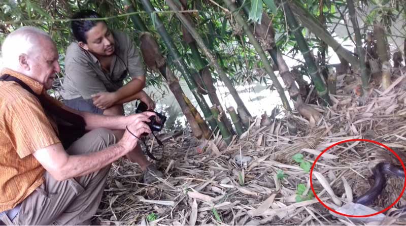 Indian herpetologist Romulus Whitaker visits Bhatar village