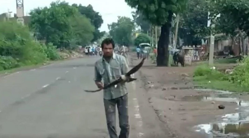 Revengeful crows refuse to forgive MP man after death of chick