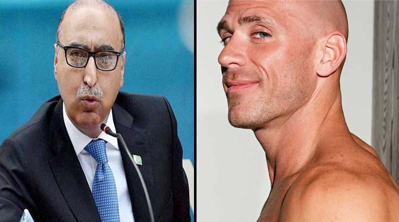 Ex-Pak Envoy Retweets Photo Of Adult Filmstar As Kashmiri