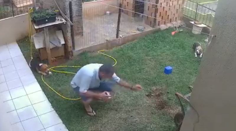A man accidentally blew up his yard while trying to kill some cockroaches