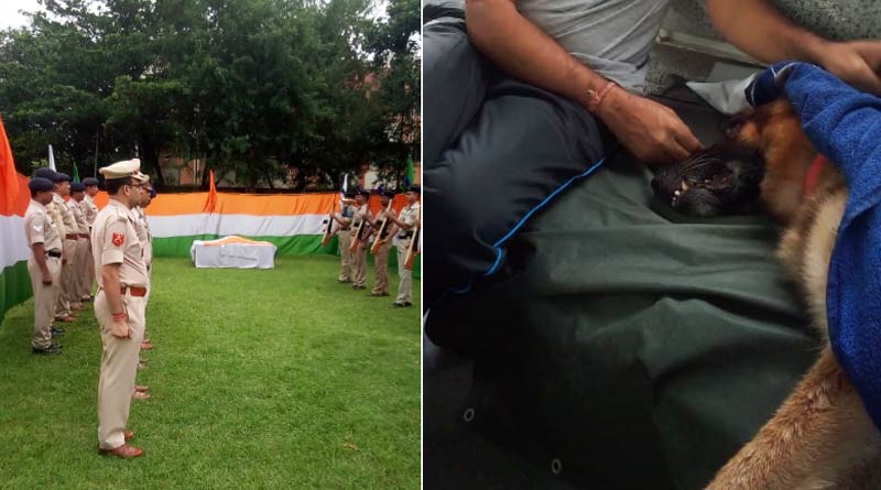 Purulia: Gun-salute farewell for Police dog named Pluto