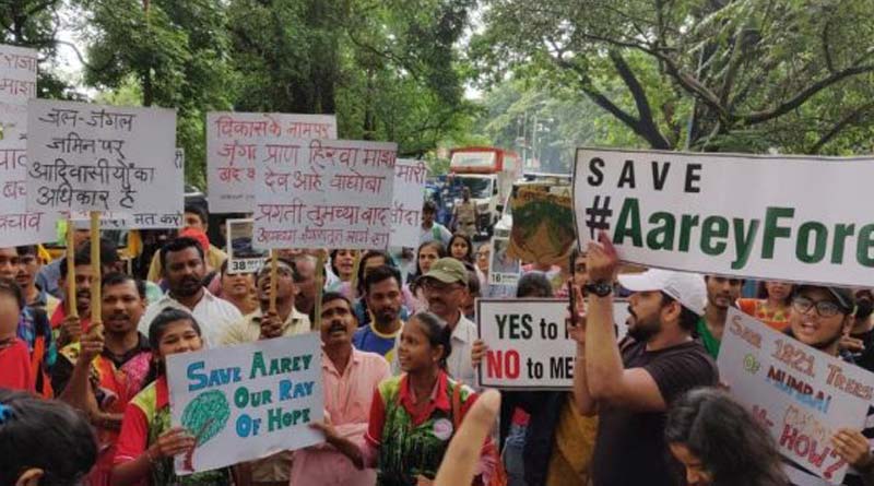 To save Arrey forest a group of students will appeal to the CJI