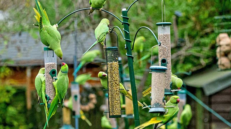 West Bengal's Bankura to get its own Bio Diversity Park