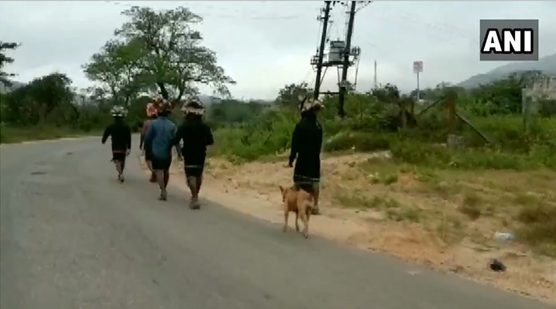 Stray dog walks over 480kms with 13 devotees to Sabarimala