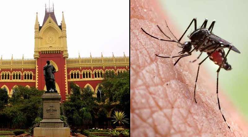 Calcutta High Court seeks a report from state government over dengue